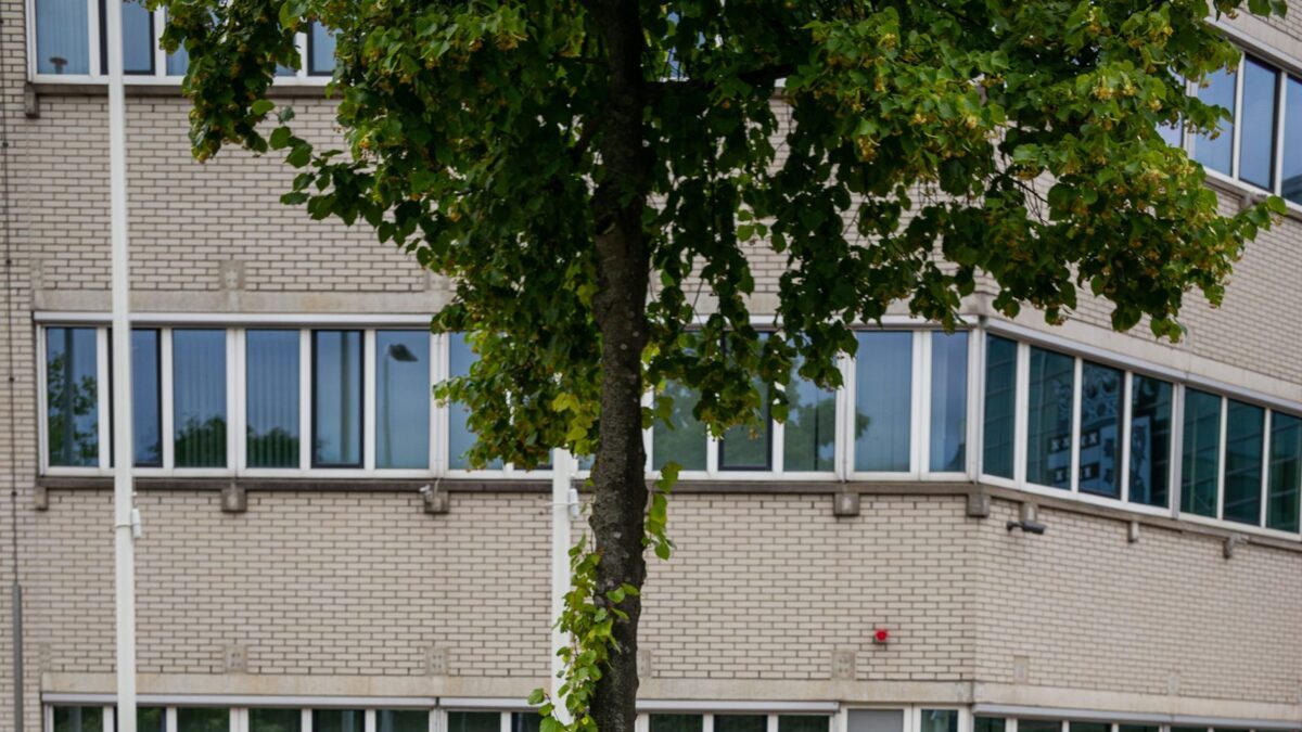 Avondvierdaagse_Spijkenisse_Lars-de-Jong9-scaled.jpeg