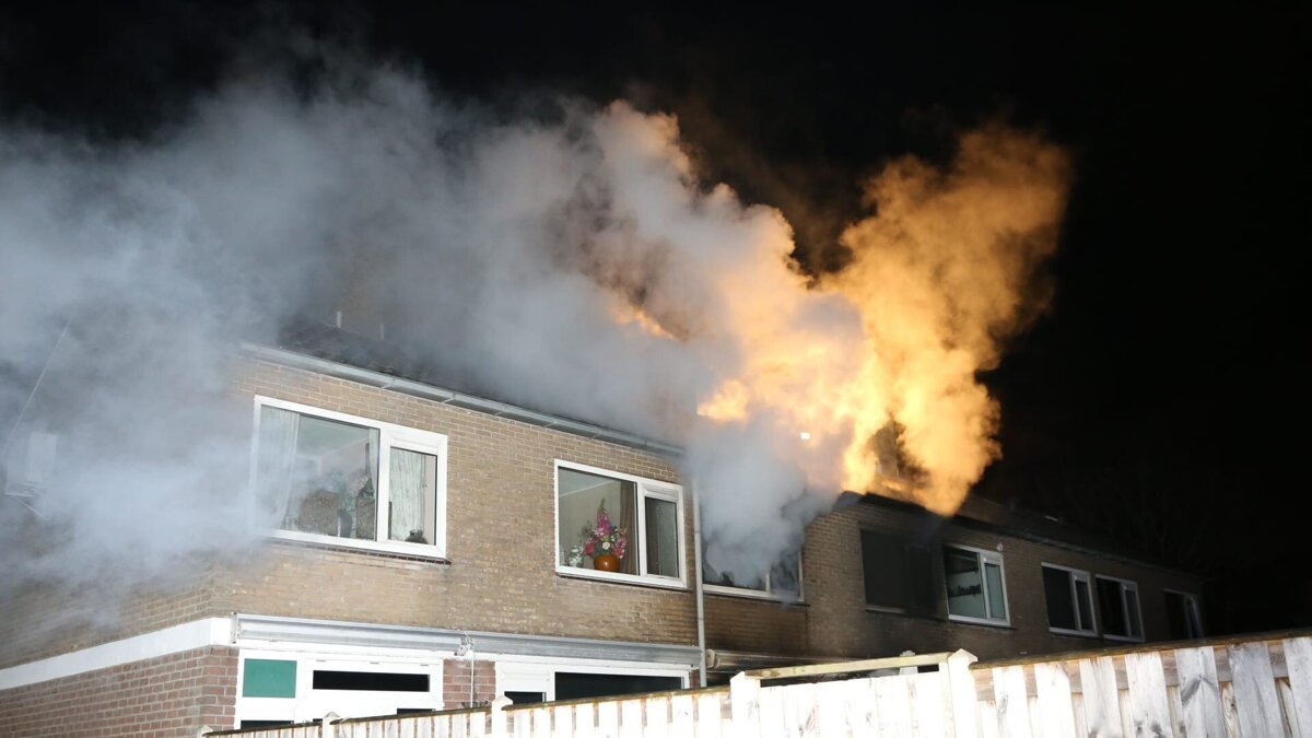 WhatsApp Image 2026-02-01 at 22.51.42.jpeg