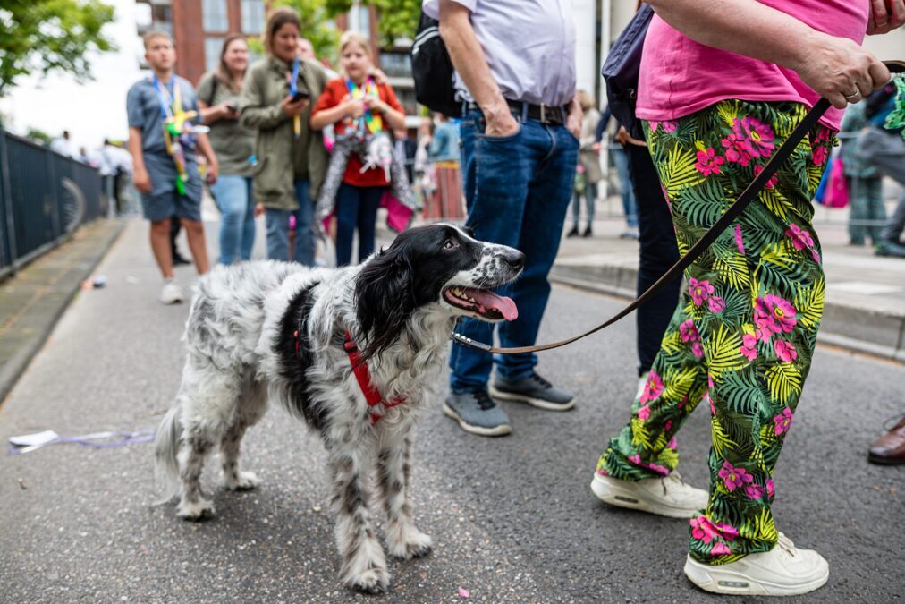 Avondvierdaagse_Spijkenisse_Lars-de-Jong18-scaled.jpeg