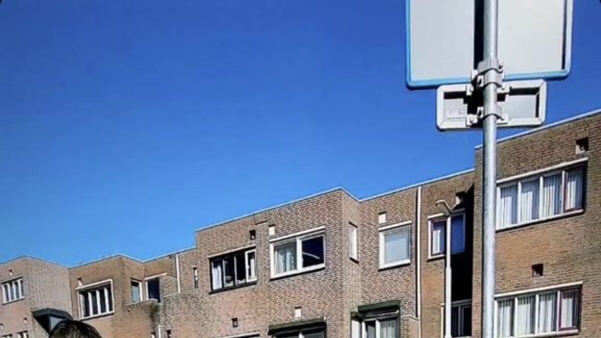 img_1183-577x1024.jpg
