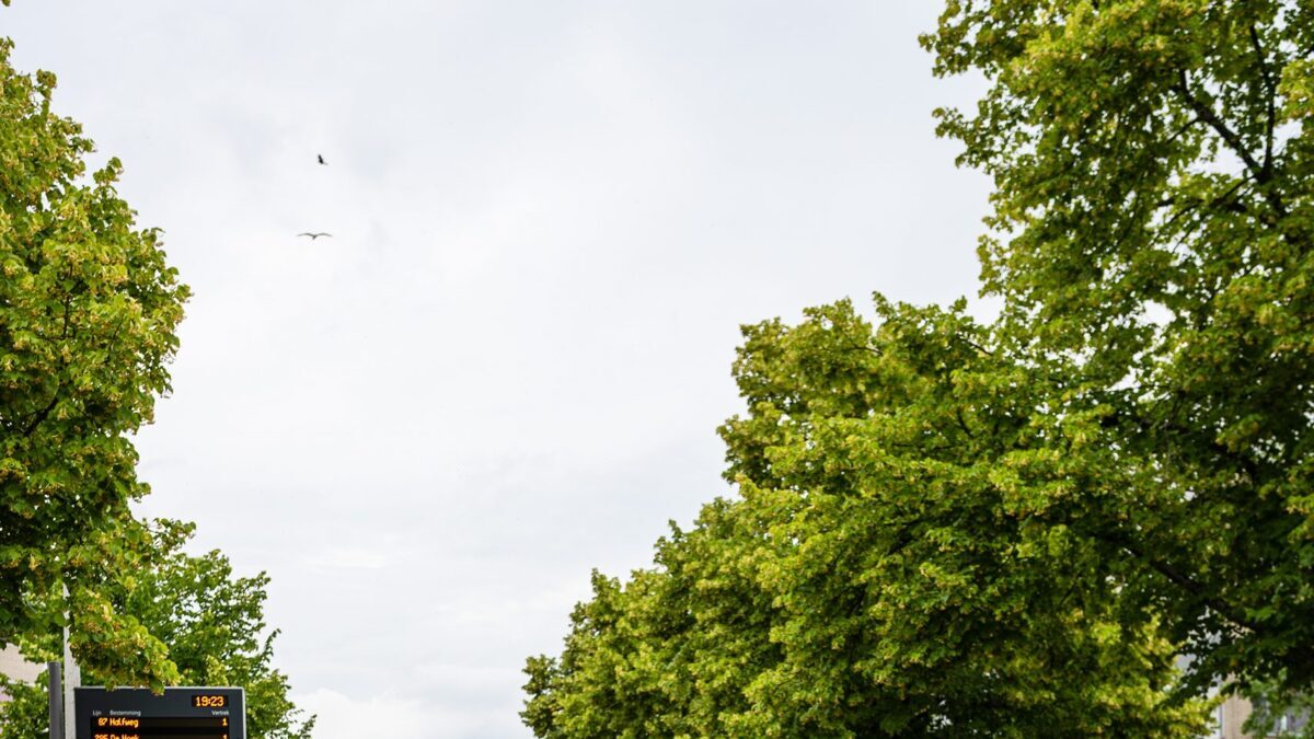 Avondvierdaagse_Spijkenisse_Lars-de-Jong24-scaled.jpeg