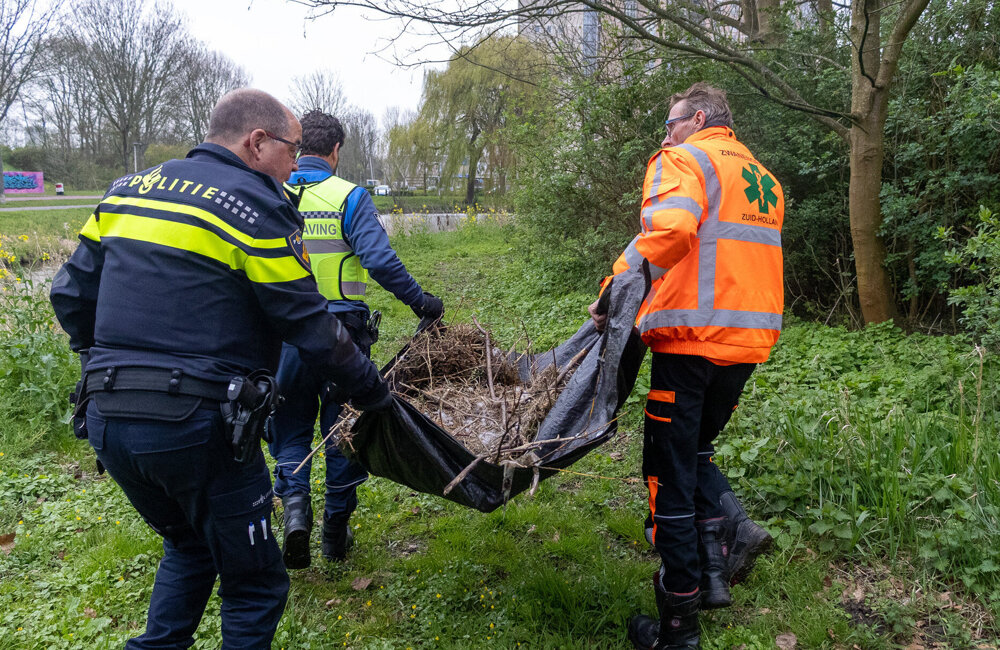 Zwaan_Spijkenisse-Verplaatsen (6).jpg