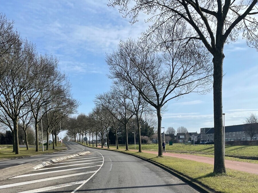 Maaswijkweg.jpg