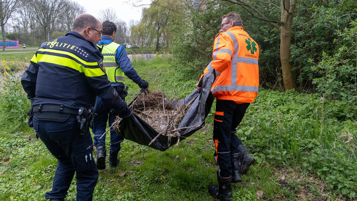 Zwaan_Spijkenisse-Verplaatsen (6).jpg