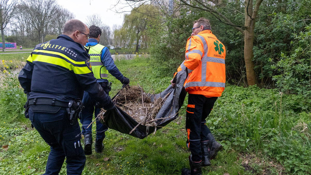 Zwaan_Spijkenisse-Verplaatsen (6).jpg