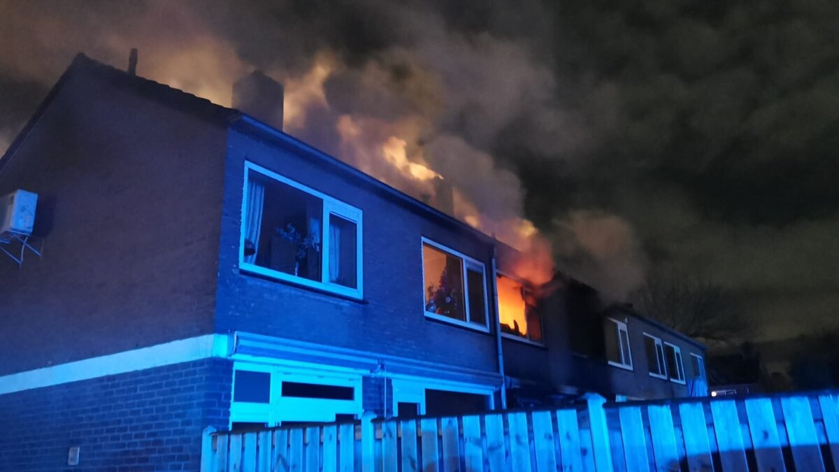 WhatsApp Image 2026-02-01 at 22.40.17.jpeg