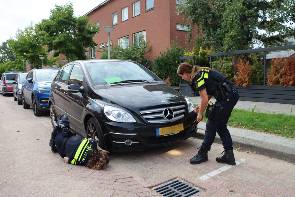 Spieke_foto_website-6.png