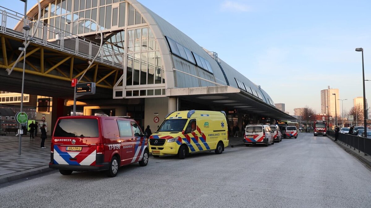 WhatsApp Image 2026-01-24 at 16.54.10.jpeg